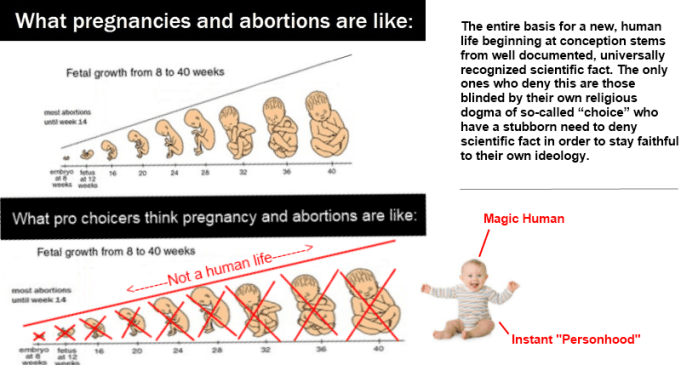 tumblr_mqevjkIzw71r62irro1_1280